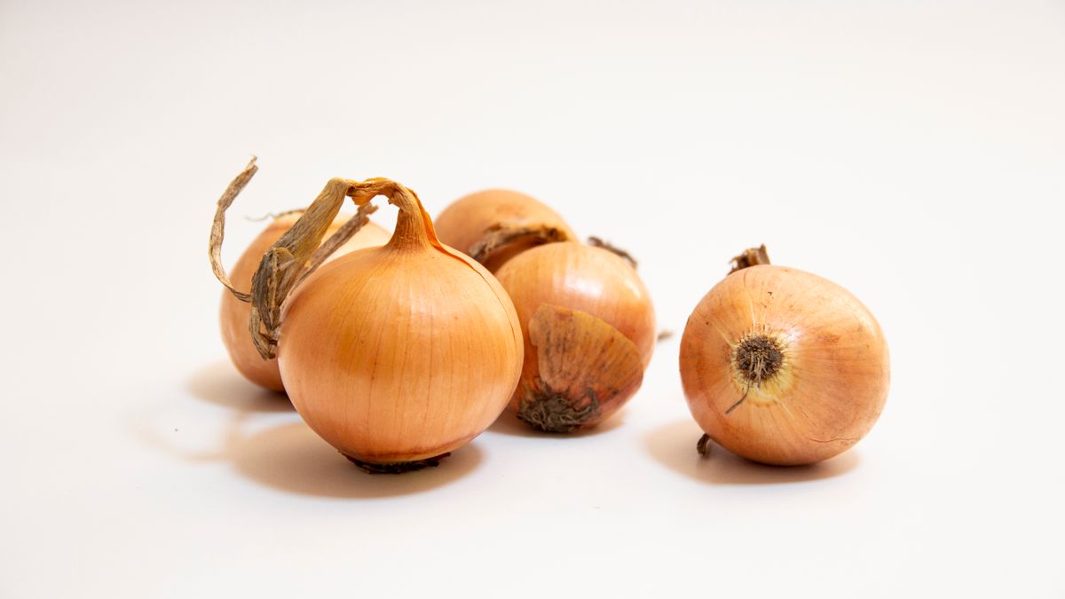 Hnědé cibule kuchyňské na bílém pozadí